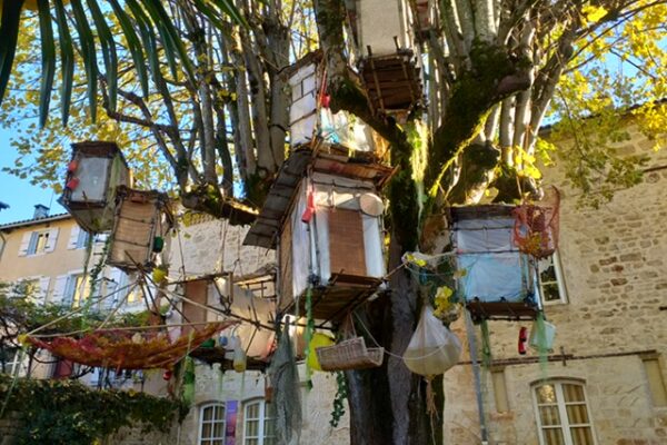 Asiatique nids star pilot (1)