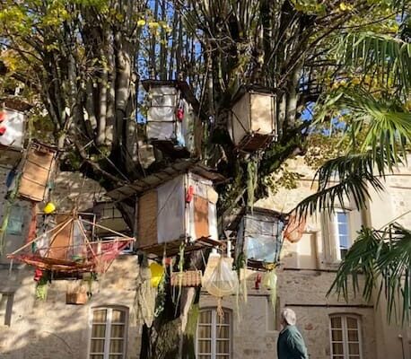 Asiatique nids star pilot (2)