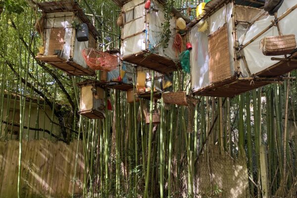 NiDS st Médard Julie Caillebotte